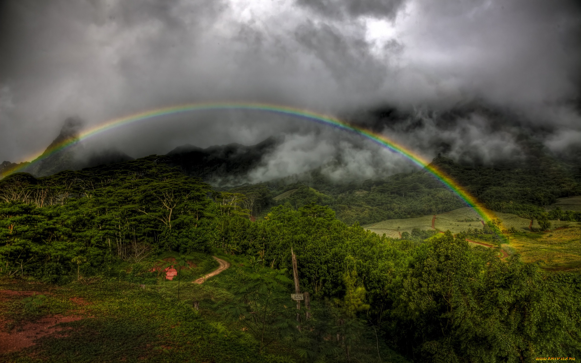 moorea, rainbow, , 